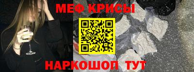 крисы Кингисепп