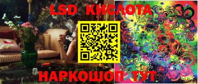 стаф Кинель