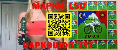 крисы Кингисепп