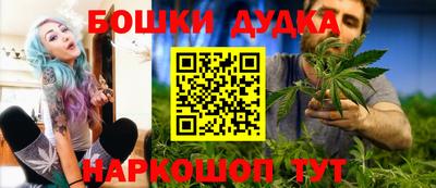 крисы Кингисепп