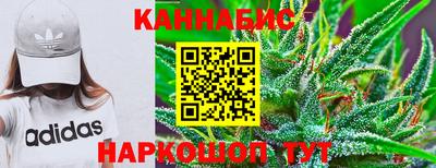 крисы Кингисепп