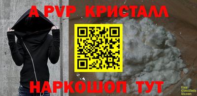 стаф Кинель