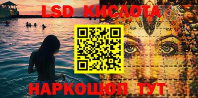 крисы Кингисепп