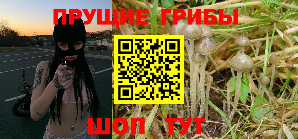 Галлюциногенные грибы MAGIC MUSHROOMS Клин