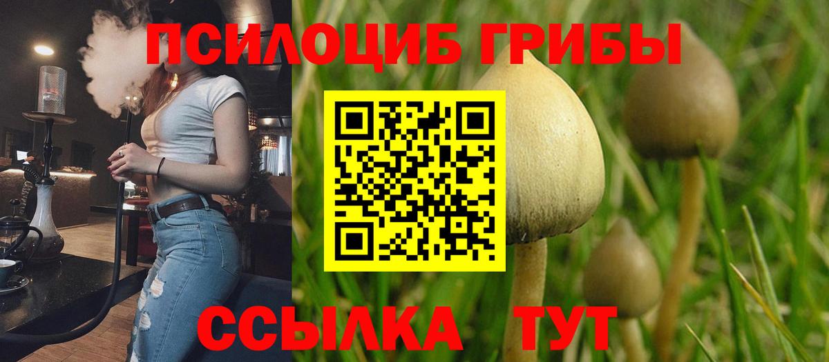 Галлюциногенные грибы GOLDEN TEACHER  Вход с VPN  Клин 